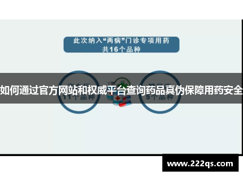 如何通过官方网站和权威平台查询药品真伪保障用药安全